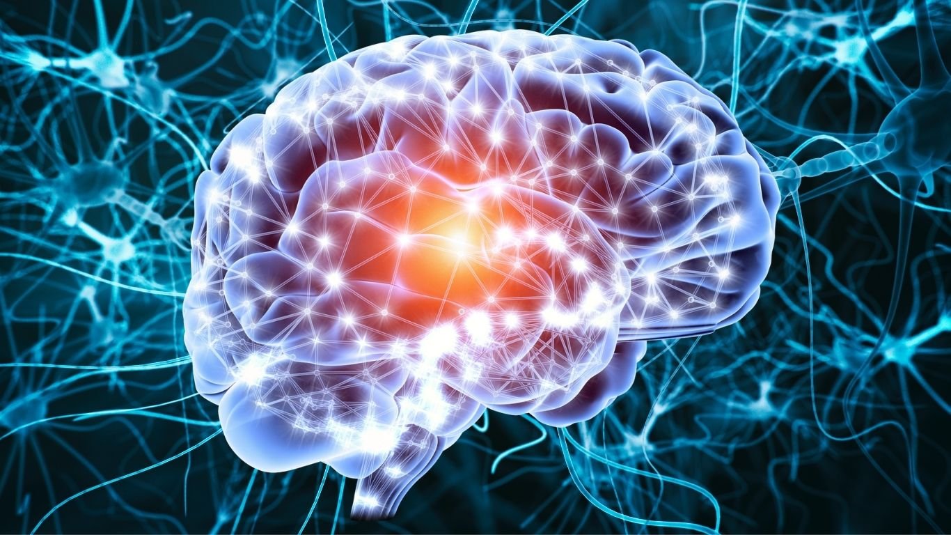 Spermidine & Cognitive Benefits